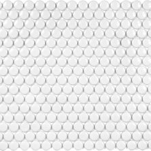 SOHO GLOSSY PENNY ROUND CANVAS WHITE (WHITE) 3/4x. 12 X12 SHEET  4501-0263-1