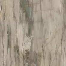 PETRIFIED WOOD NATURAL 8x48 NAT.  .