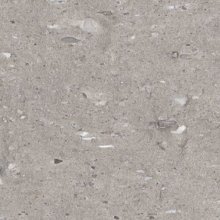 MOONSTONE GREY 12x24 NAT. RT  COEMO122403P