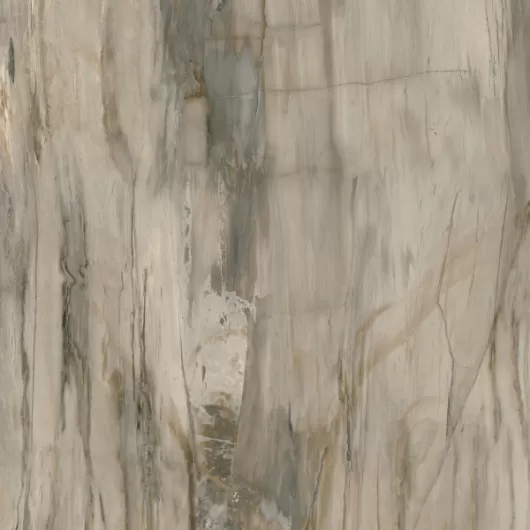 PETRIFIED WOOD NATURAL 8x48 NAT.  .