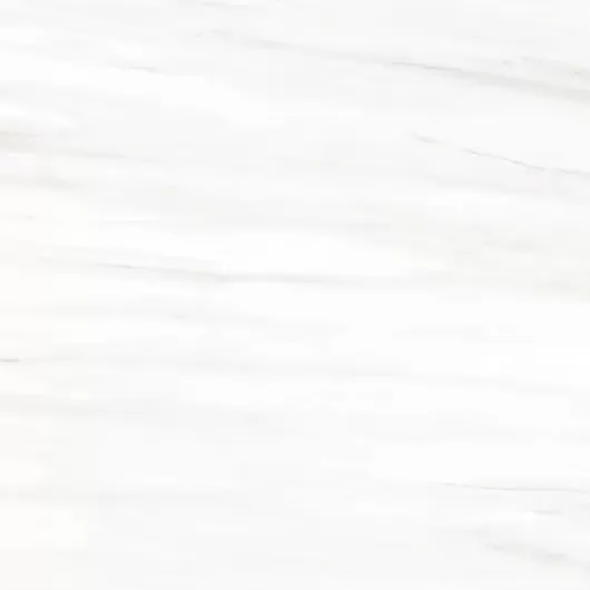 LASSA WHITE 12x24 POLISHED FLWPER5A31