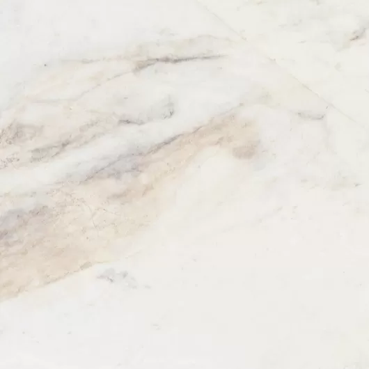 MARBLE VALENTINO BIANCO 12x24 HONED 455500