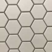 ONTARIO HEXAGON SNOW WHITE 2x2 MATTE  OD.ON.SWT.02.HEX.MT