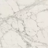 MOUNTAIN TREASURE GLOSSY 24x48 . 755844