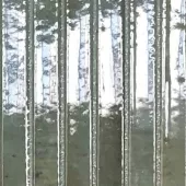 HOME KITKAT FOREST 5x10 GLOSSY .